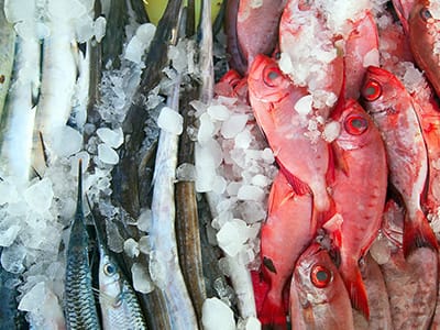 Sea Food