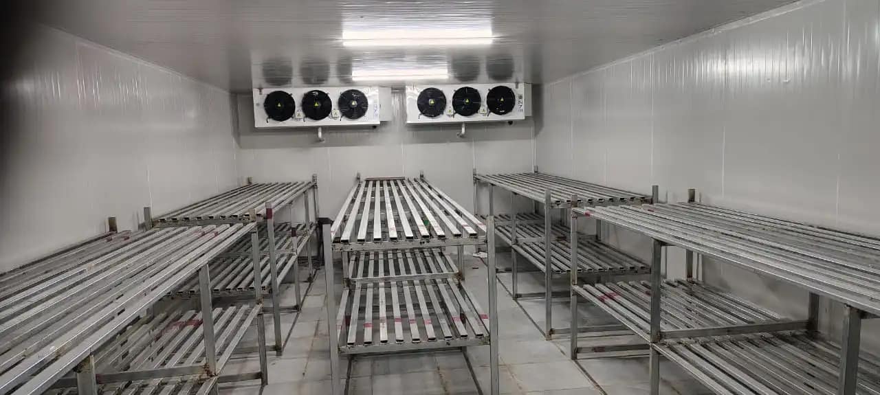 Cold Room Storage