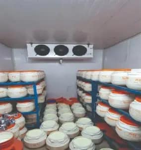Curd Blast